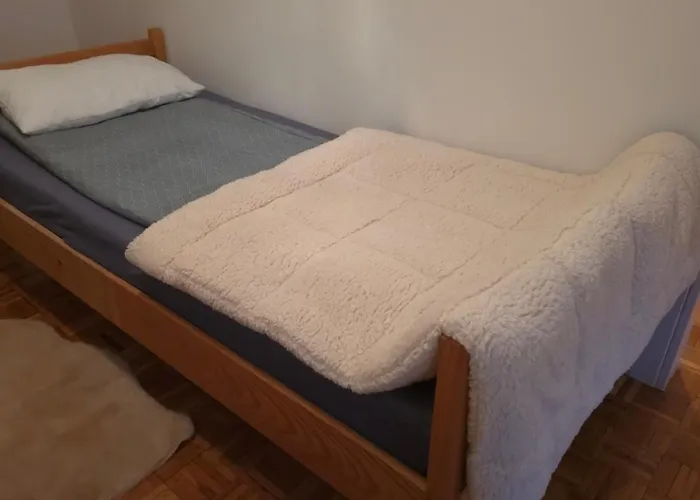 Evergreen * Banja Luka